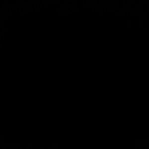 Meet your Posher, Diamond