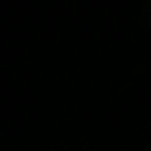 Meet your Posher, Pat