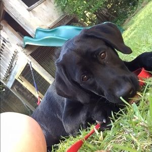 Meet your Posher, Margaret