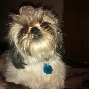 Meet your Posher, Michele