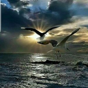 Meet your Posher, Heidi