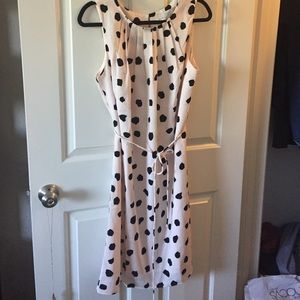 Brand new Loft sleeveless polka dot dress