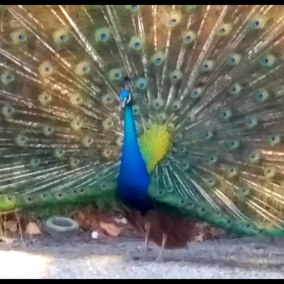 Meet your Posher, Gina - Picture 2 of 7