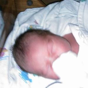 Meet your Posher, Sandy