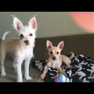 Meet your Posher, Janatha