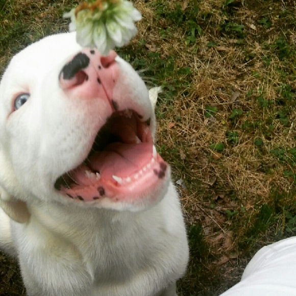 Meet your Posher, Camerin - Picture 2 of 4