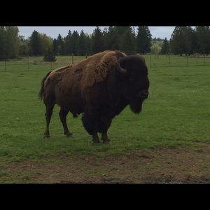 Meet your Posher, Cheryl