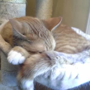 Meet your Posher, Wendy