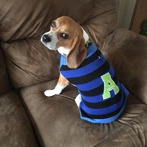 Meet your Posher, Robin