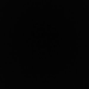 Meet your Posher, Guadalupe