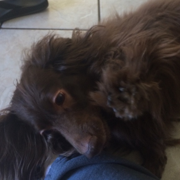 Meet your Posher, S - Picture 2 of 3