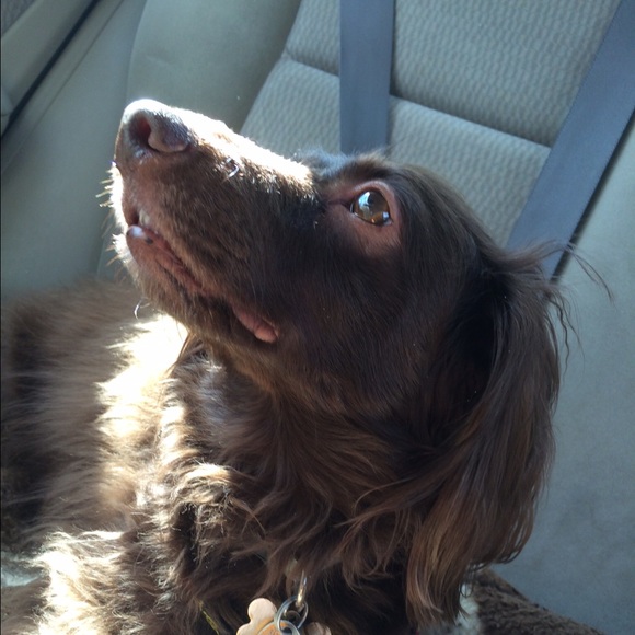 Meet your Posher, S - Picture 3 of 3