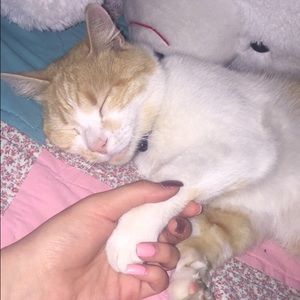 Meet your Posher, Paige