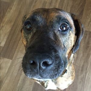 Meet your Posher, Yekaterina