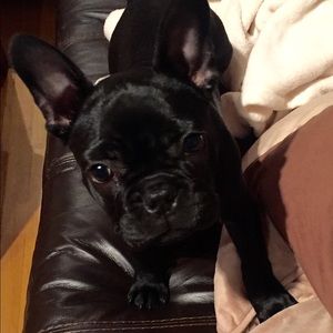 Meet your Posher, Elisabeth