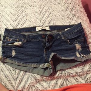 Brand new hollister shorts