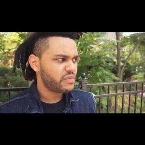 Meet your Posher, Erwin