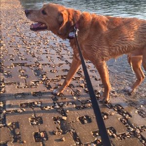 Meet your Posher, Samantha