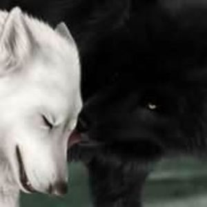 Meet your Posher, Molly