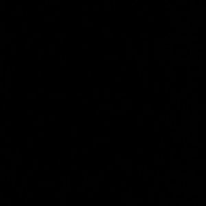 Meet your Posher, Daisy