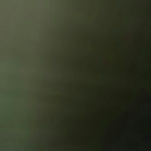 Meet your Posher, Natosha