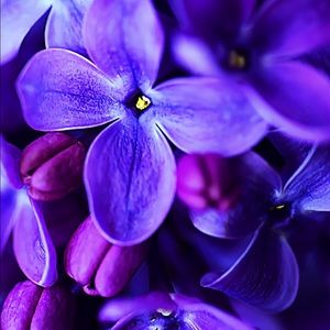 Meet your Posher, Martha