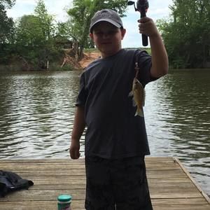 Meet your Posher, Bridget