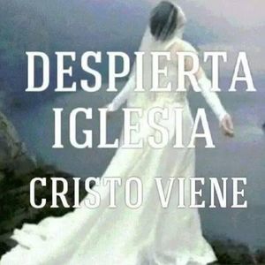 Meet your Posher, Luvina