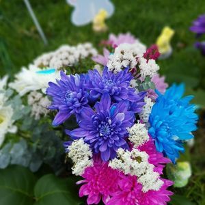 Meet your Posher, Andres