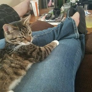 Meet your Posher, Dora