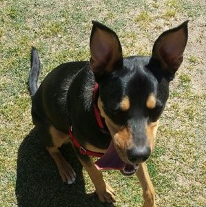 Meet your Posher, Margaret