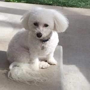 Meet your Posher, Janet