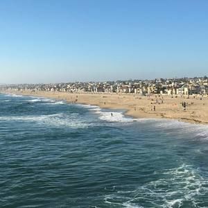 Meet your Posher, Bridget