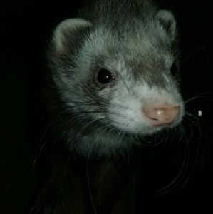 Meet your Posher, Sara