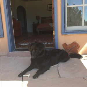 Meet your Posher, Jackie