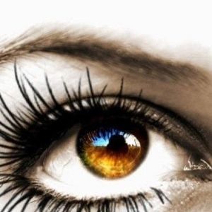 Meet your Posher, April