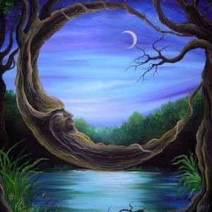 Meet your Posher, Isla