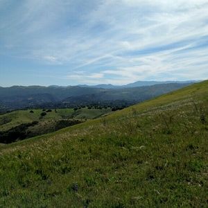 Meet your Posher, Carly