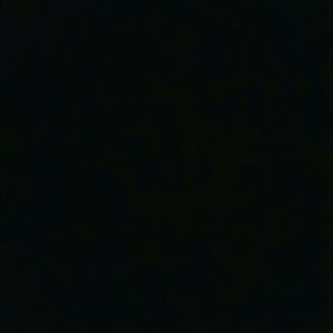 Meet your Posher, Jaden