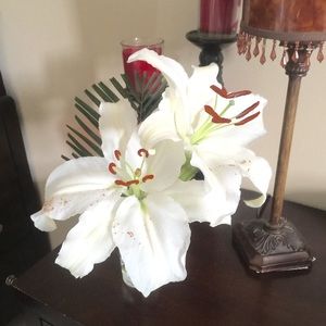 Meet your Posher, Trish