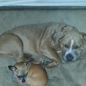 Meet your Posher, Malynda