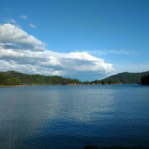 Meet your Posher, Carson