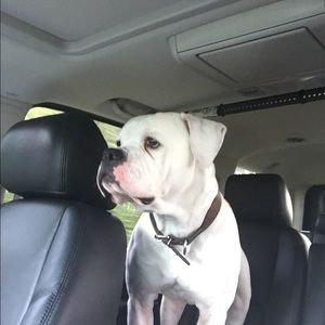 Meet your Posher, Lisa