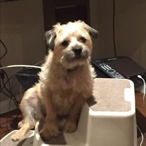 Meet your Posher, Jill