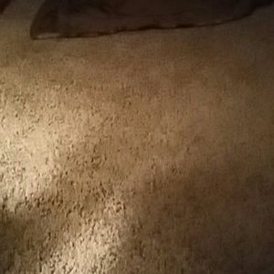 Meet your Posher, Marcie