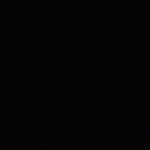 Meet your Posher, Shawn