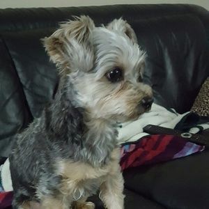 Meet your Posher, Allison