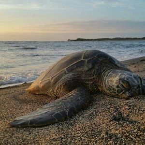 Meet your Posher, Sheri