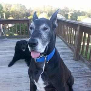 Meet your Posher, Patti