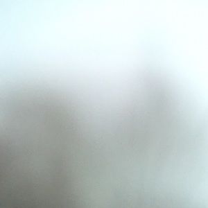 Meet your Posher, Bella